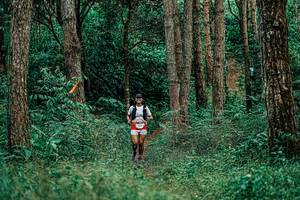 BIB: 
                            <button type="button" onclick="openModal(25237674)" class="btn btn-primary btn-sm float-right btn-popup" data-toggle="modal" data-target=".modal-high-quality">
                        <i class="fas fa-shopping-cart"></i> Add to Cart
                    </button>
                                            <button type="button" onclick="isThisMe(25237674, true)" class="btn btn-success btn-sm float-right btn-popup btn-isme hidden" data-toggle="tooltip" data-placement="bottom" title="นี่คือรูปของคุณใช่ไหม คลิกที่นี่เพื่อเอาเข้าอัลบั้ม">
                        <i class="fas fa-plus"></i> Add to album
                    </button>
                    <button type="button" onclick="isThisMe(25237674, false)" class="btn btn-warning btn-sm float-right btn-popup btn-isnotme hidden">
                        <i class="fas fa-ban"></i> Remove from album
                    </button>